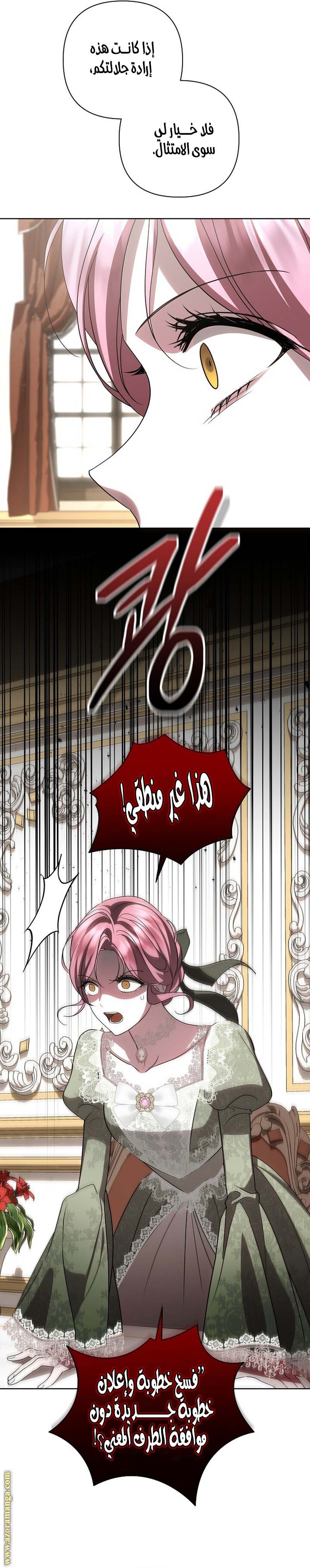 الصفحة 17