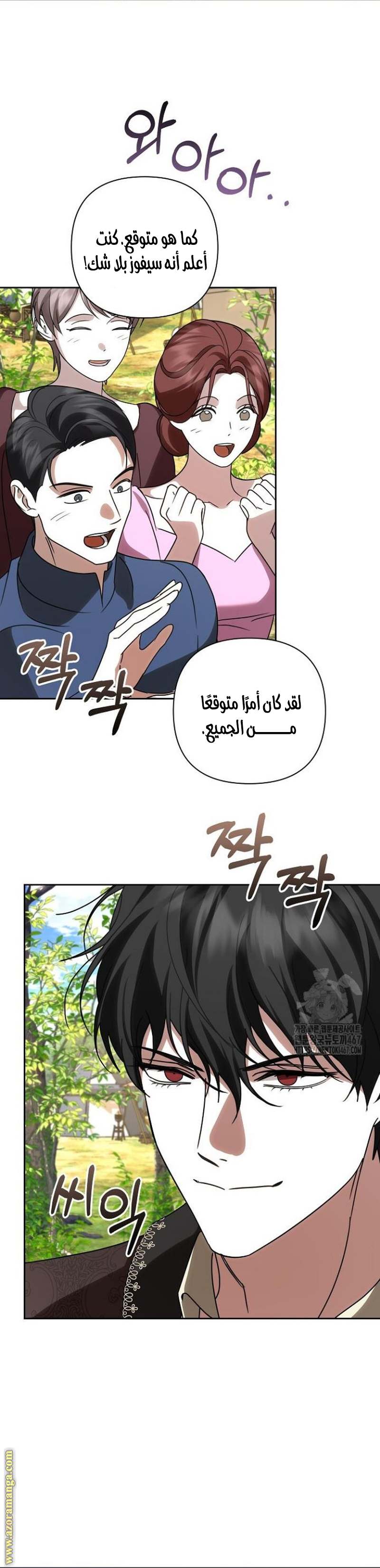 الصفحة 25