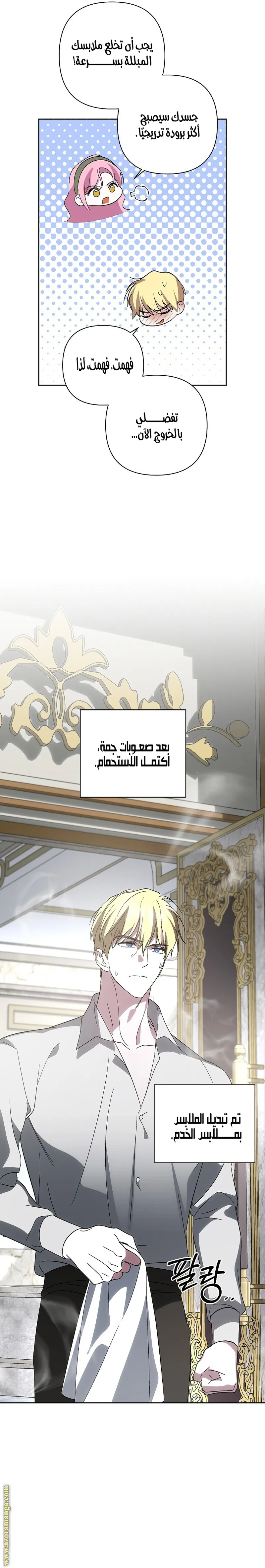 الصفحة 17