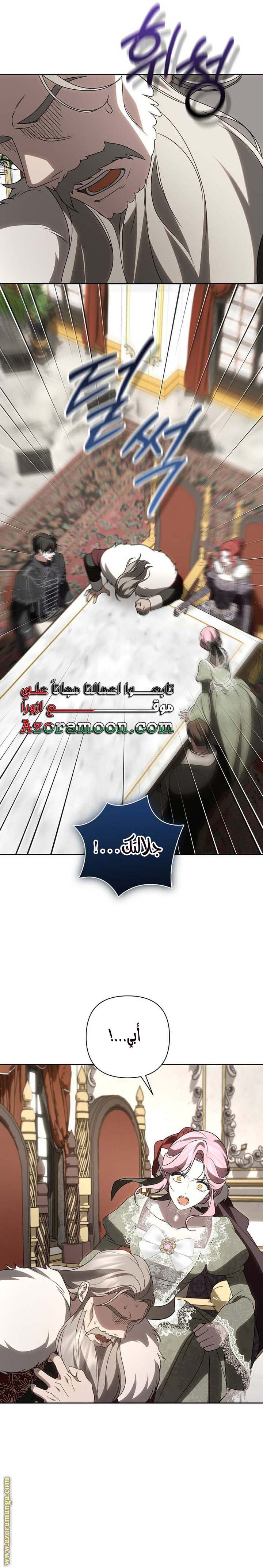 الصفحة 26
