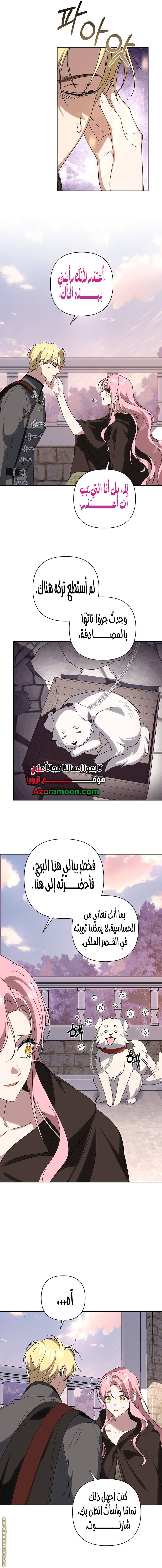 الصفحة 4