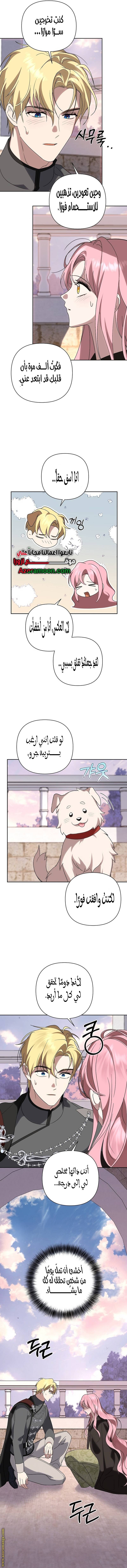 الصفحة 5
