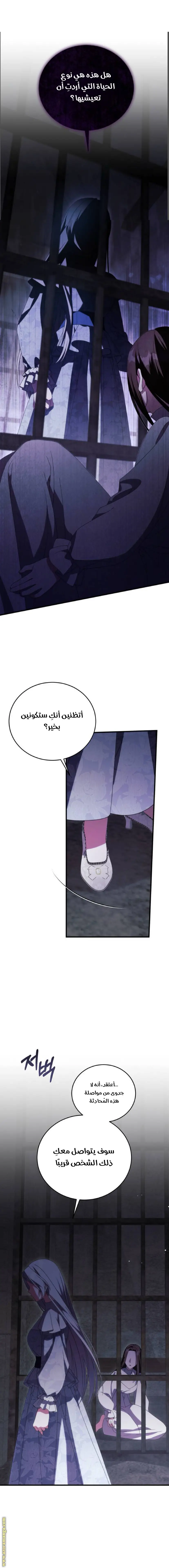 الصفحة 13