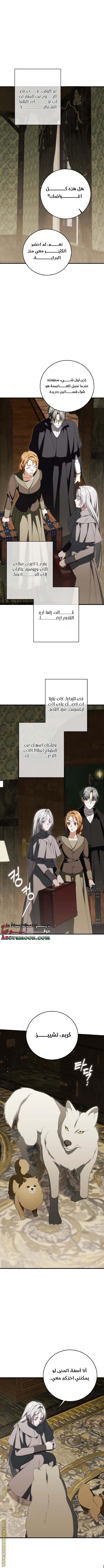 الصفحة 8