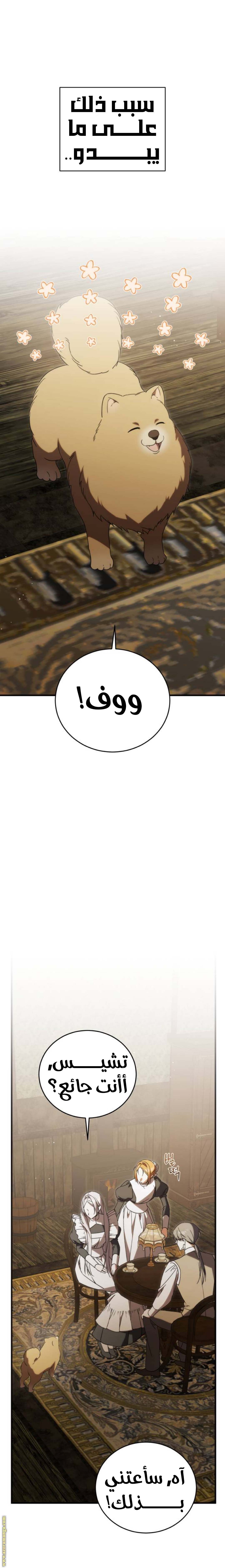 الصفحة 26