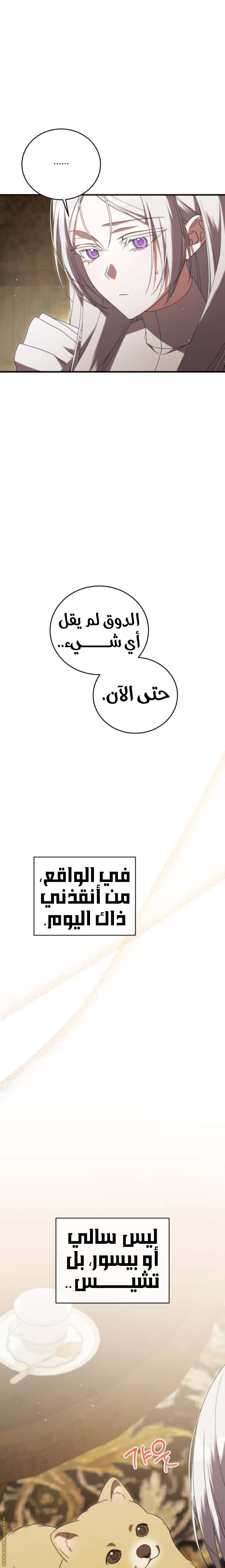 الصفحة 28
