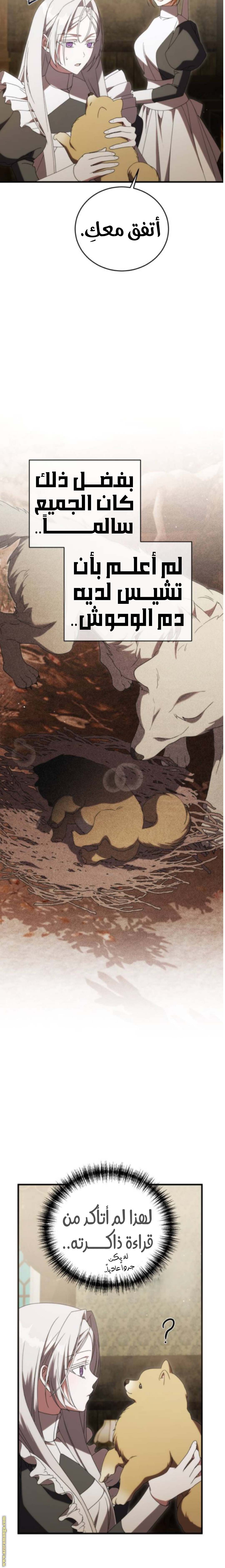 الصفحة 31