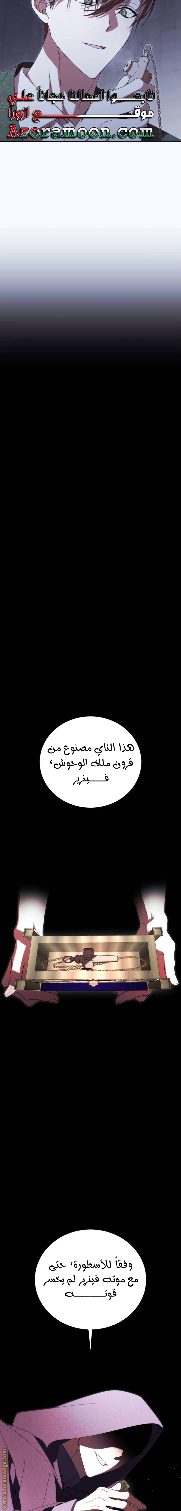 الصفحة 19