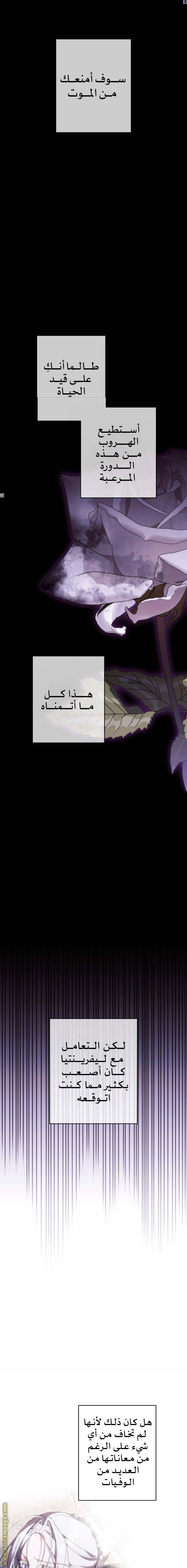 الصفحة 19
