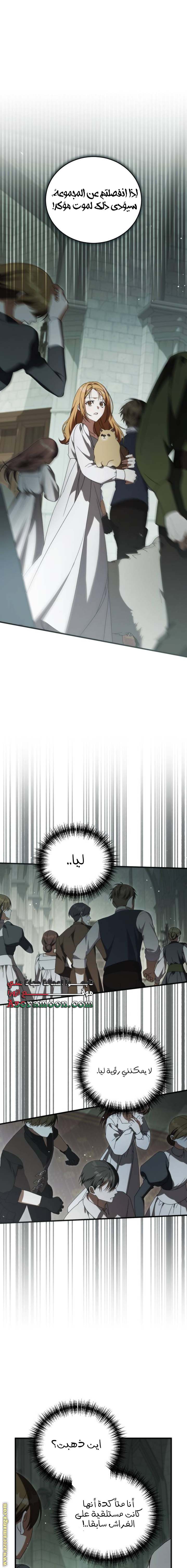 الصفحة 19