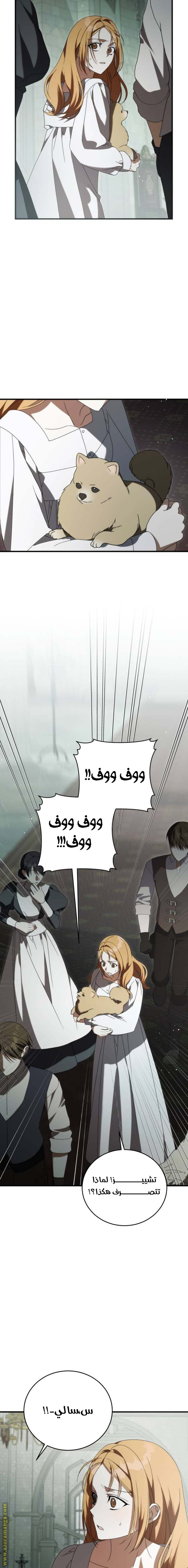 الصفحة 20