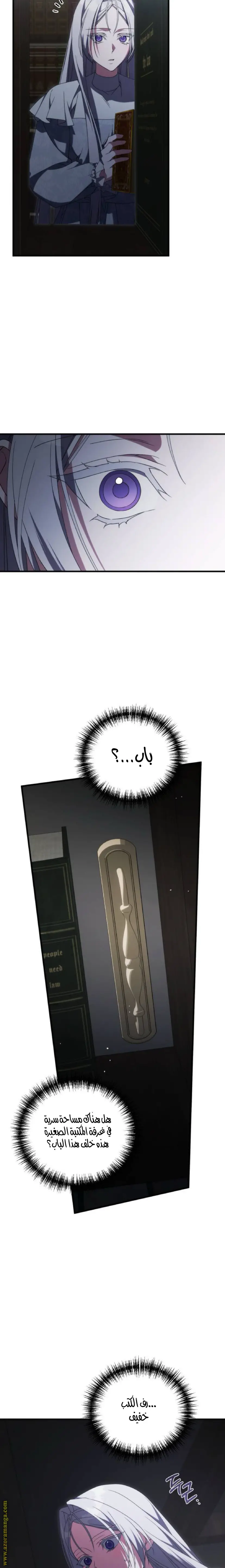 الصفحة 13