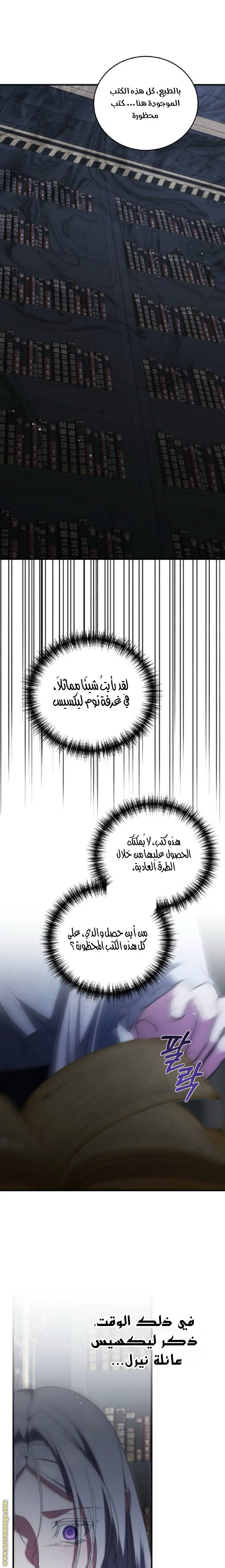 الصفحة 17
