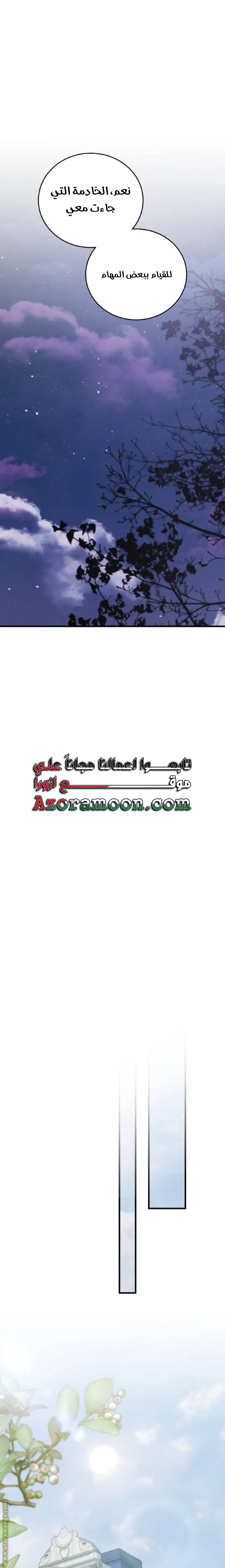 الصفحة 25