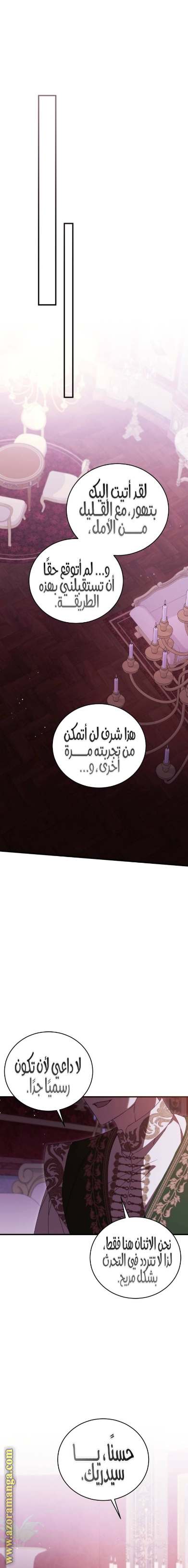 الصفحة 17