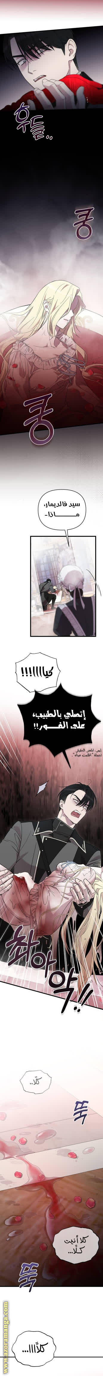 الصفحة 13
