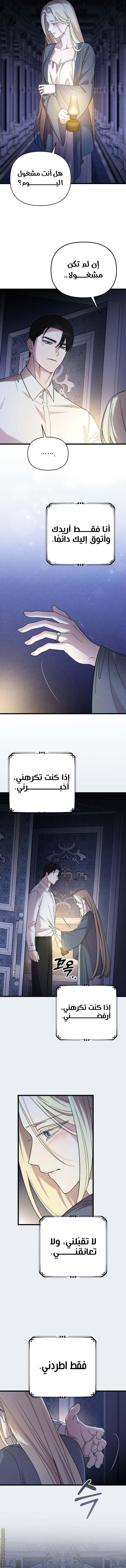 الصفحة 11