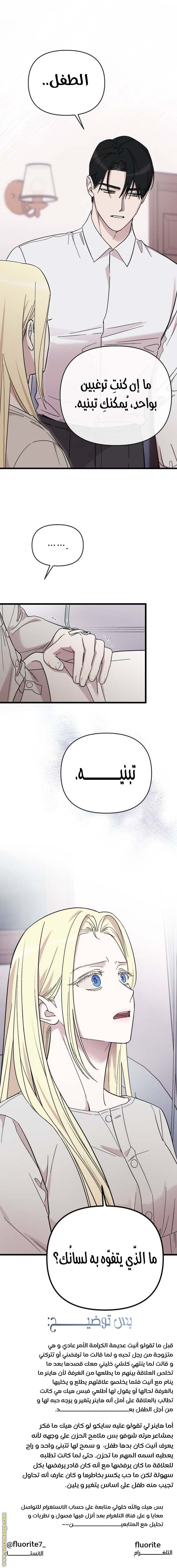 الصفحة 17