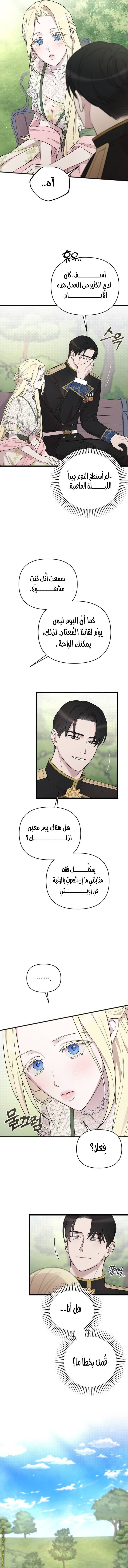 الصفحة 14