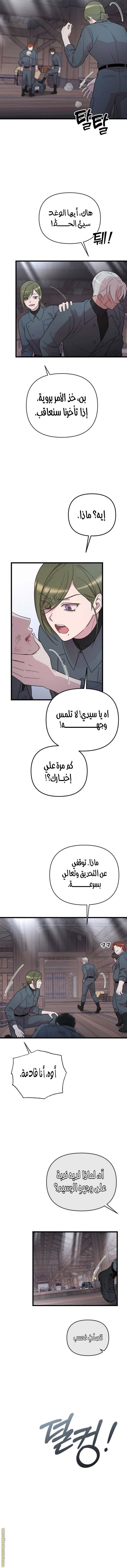 الصفحة 17