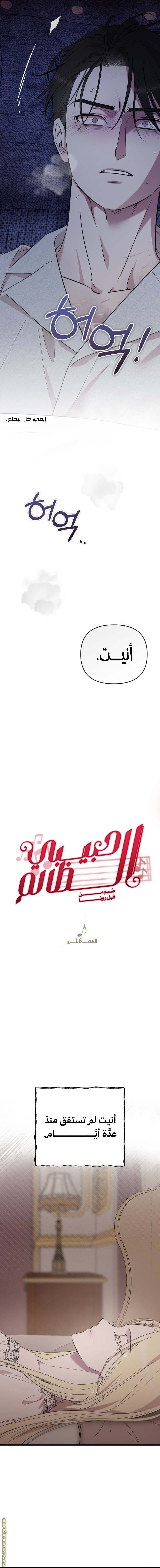 الصفحة 11