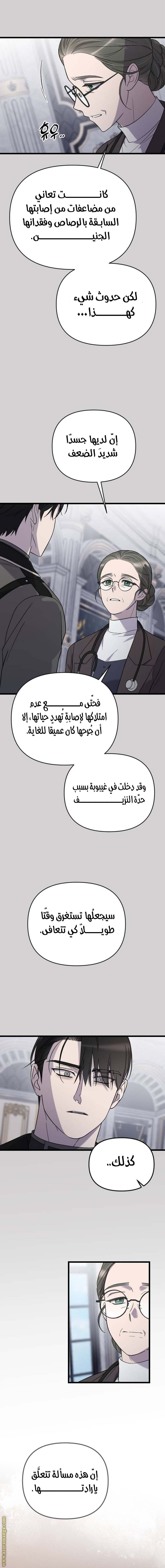 الصفحة 13