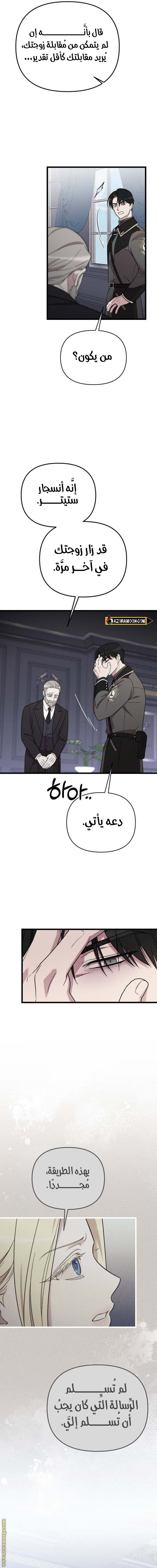 الصفحة 21