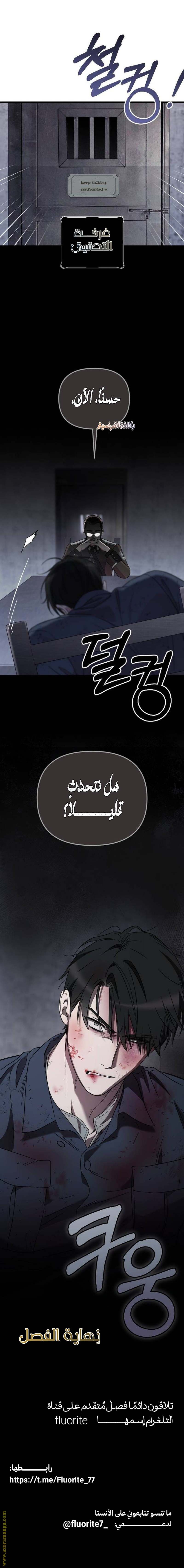 الصفحة 17