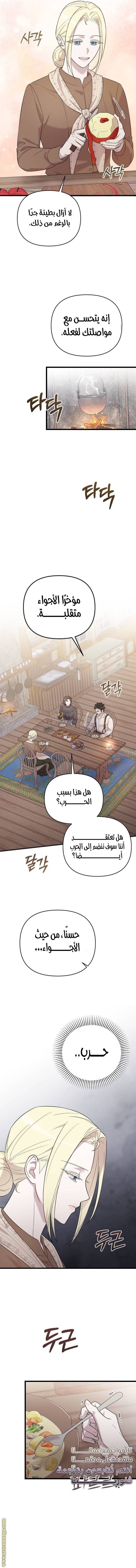 الصفحة 12