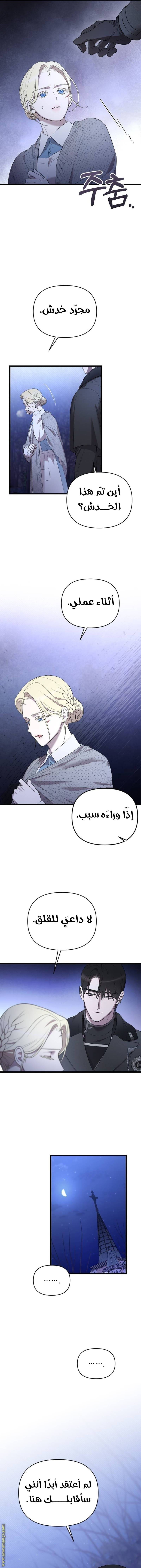 الصفحة 13