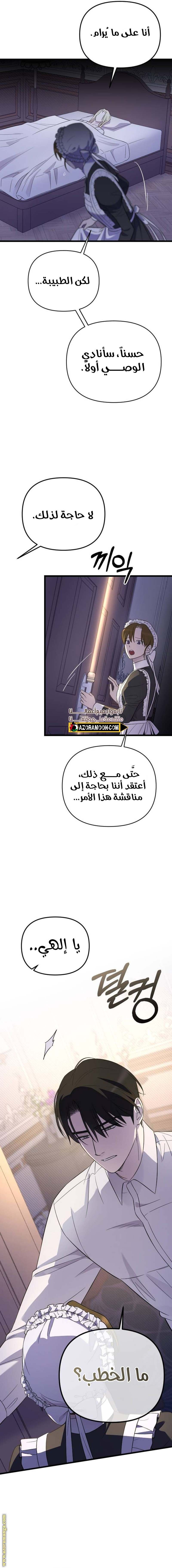 الصفحة 11