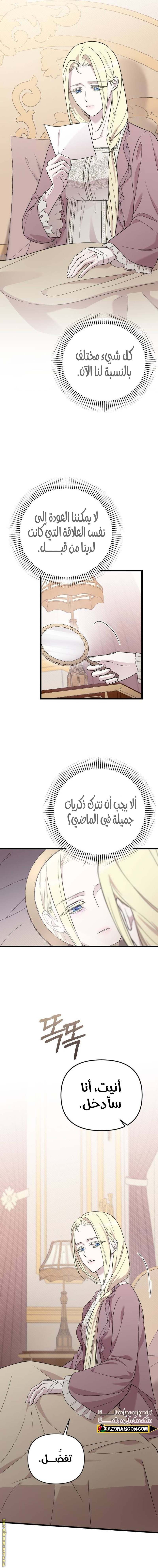 الصفحة 17
