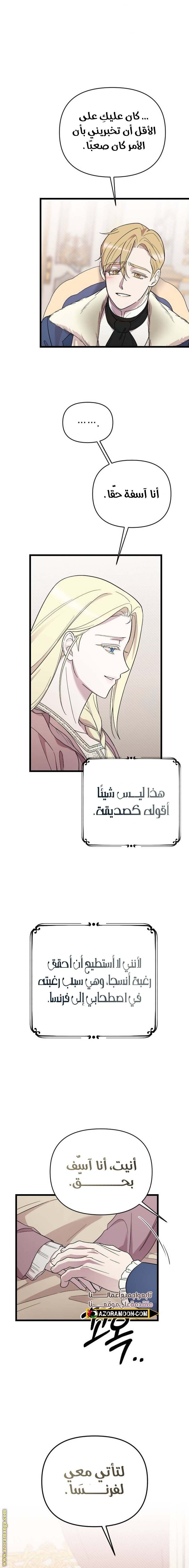 الصفحة 19