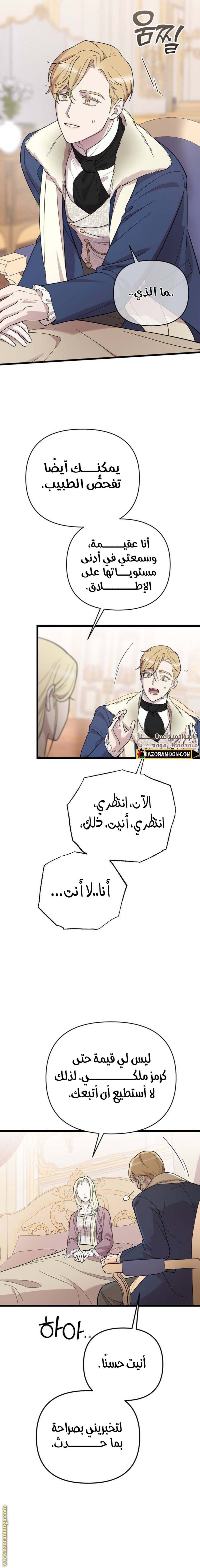 الصفحة 21
