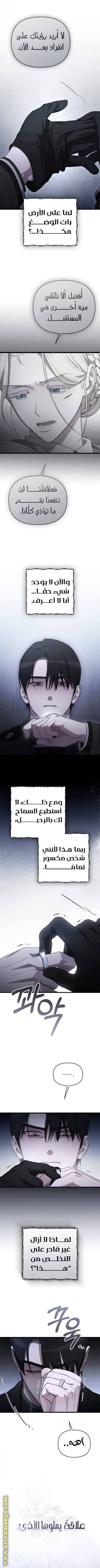 الصفحة 13