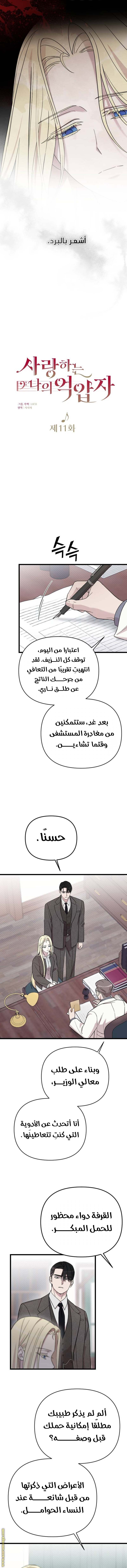 الصفحة 7