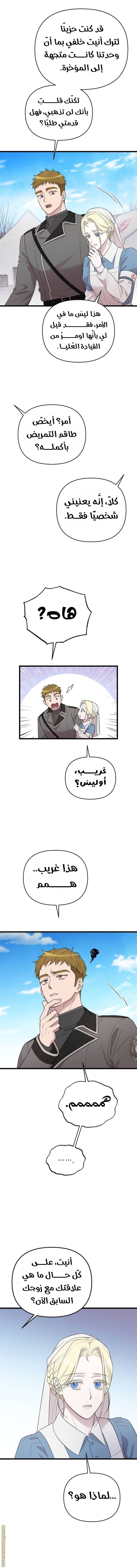 الصفحة 17
