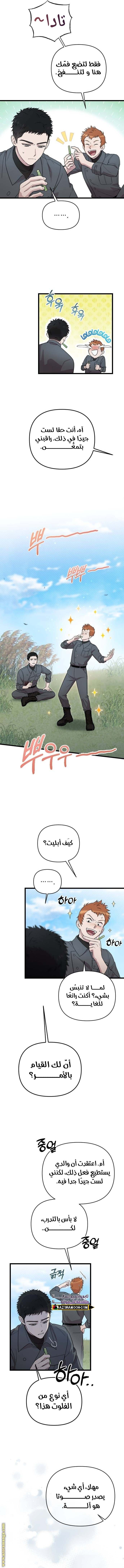 الصفحة 11