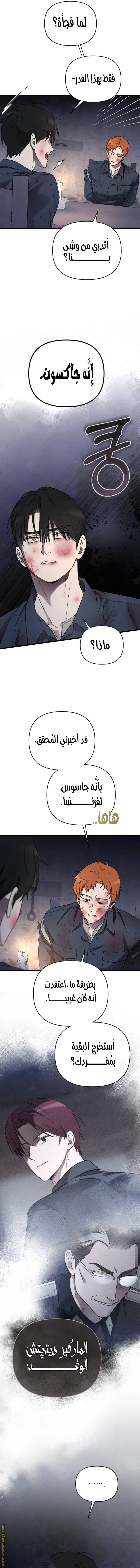 الصفحة 8