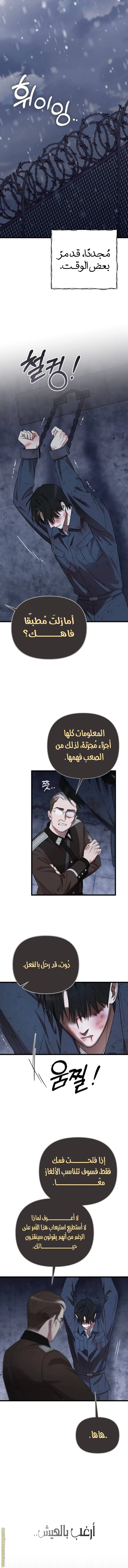 الصفحة 11