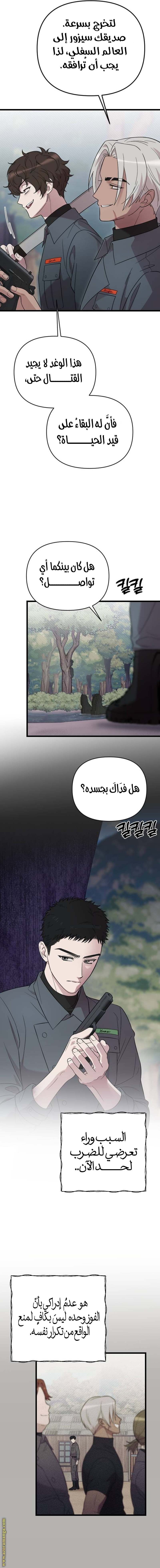 الصفحة 13
