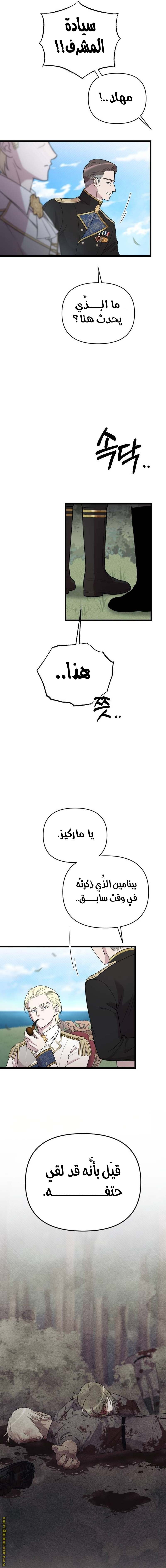 الصفحة 19