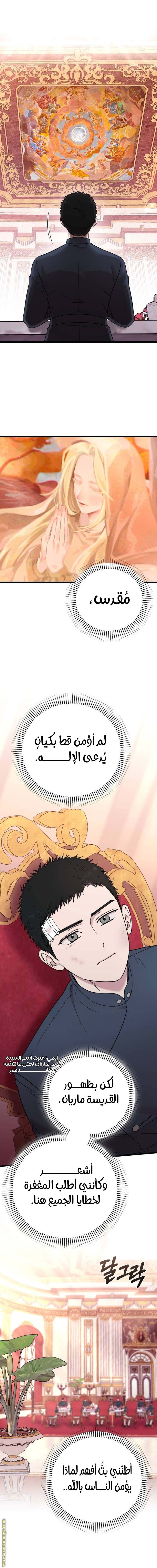 الصفحة 13