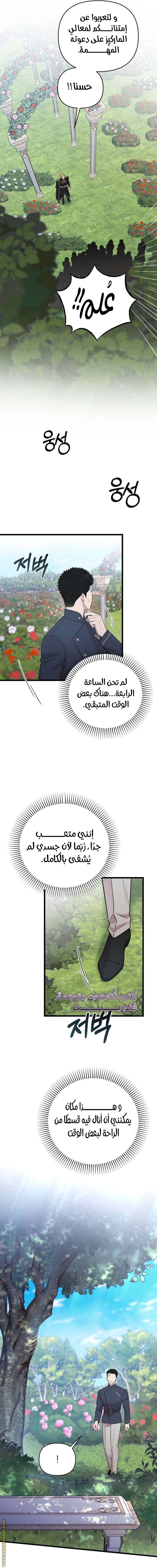 الصفحة 16