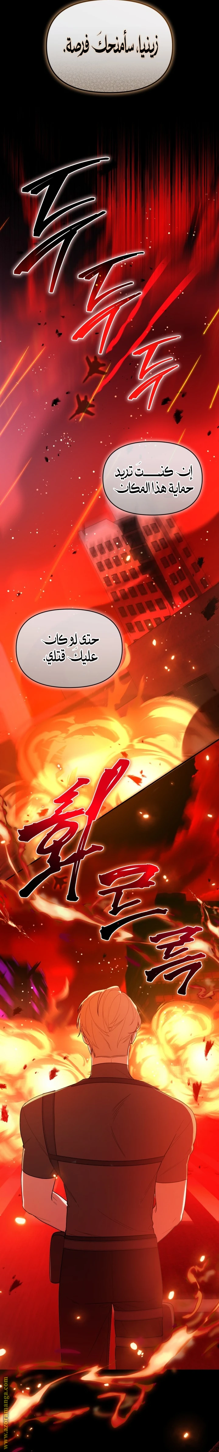 الصفحة 13