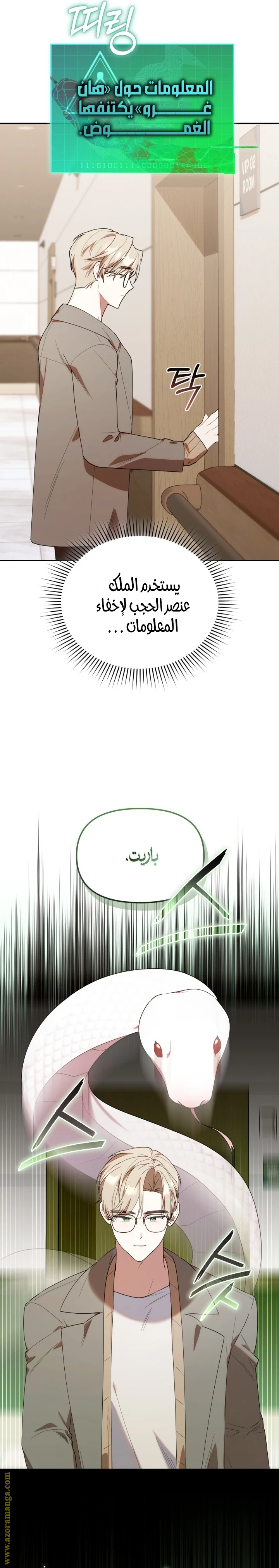 الصفحة 25