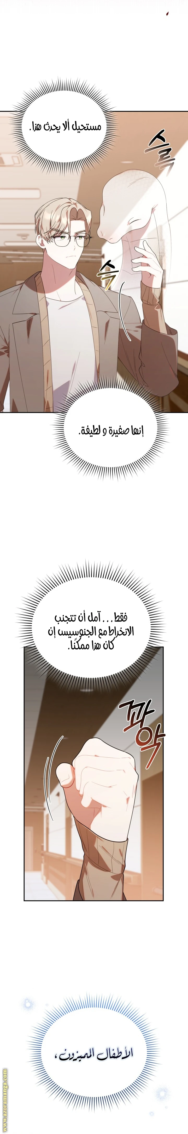 الصفحة 29