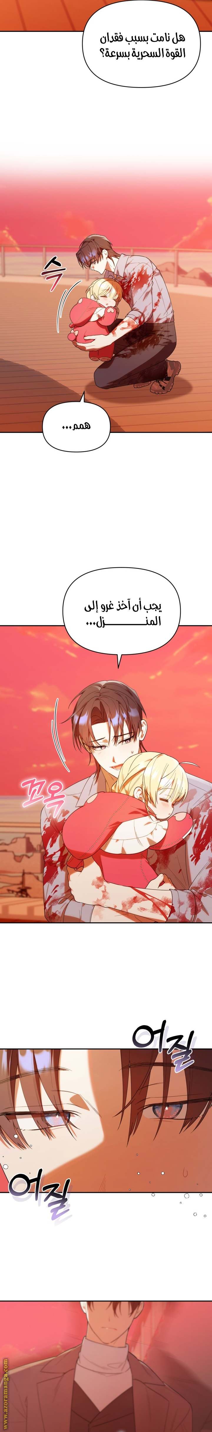 الصفحة 13