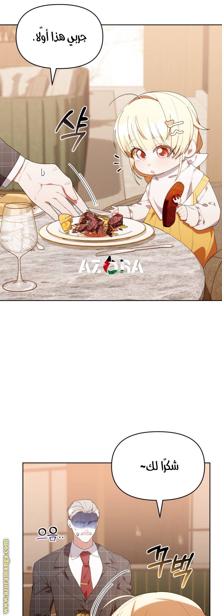 الصفحة 29