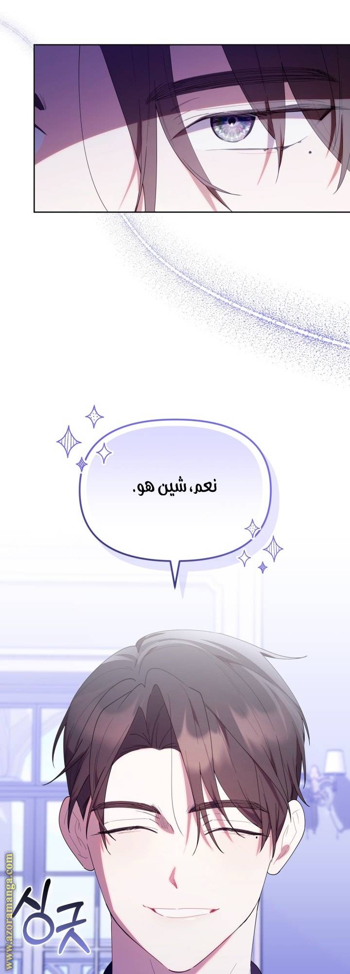 الصفحة 13